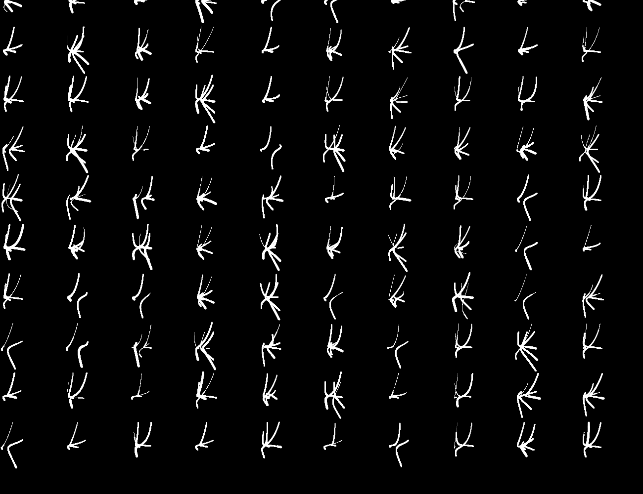 Calligraphies & Typographie, 2021–
Typographie générative